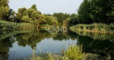 Terrain dans Lomovskiy selsovet, Fédération de Russie