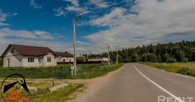 House in Baraulianski sielski Saviet, Belarus