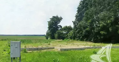 Działka w Nowe Łyszczyce, Białoruś
