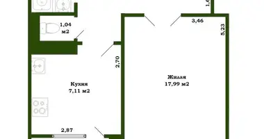 1 room apartment in Minsk, Belarus