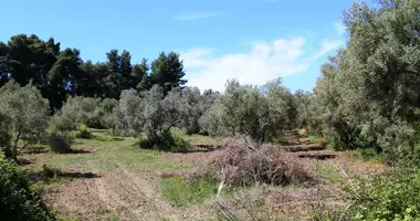 Grundstück in Gemeinde Kassandra, Griechenland