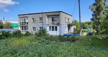Dom w Aliachnovicki siel ski Saviet, Białoruś