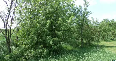 Plot of land in Poroszlo, Hungary