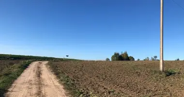 Terrain dans Semeliskes, Lituanie