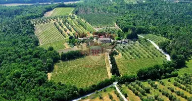 Propriété commerciale 613 m² dans Grassina, Italie