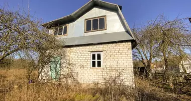 Maison dans Pliski sielski Saviet, Biélorussie