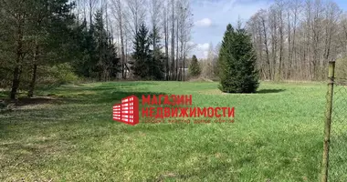 Plot of land in Hozski sielski Saviet, Belarus