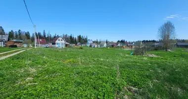 Parcela en Volosovo, Rusia