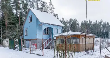 House in Hliebkavicy, Belarus