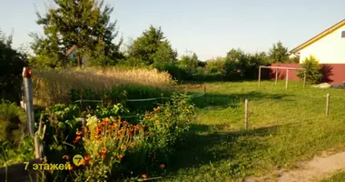 Plot of land in Navasiolkauski sielski Saviet, Belarus