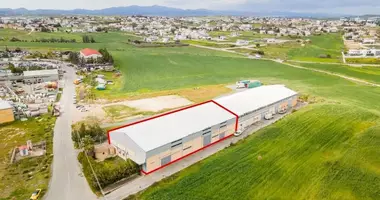 Nieruchomości komercyjne 880 m² w Agios Sozomenos, Cyprus