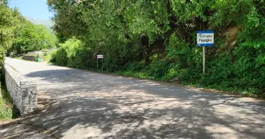 Plot of land in Papingo, Greece