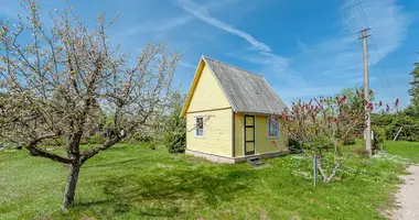 Haus in Onikschten, Litauen