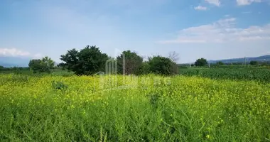 Parcela en Georgia