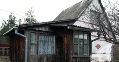 Дом в Каменица Жировецкая, Беларусь