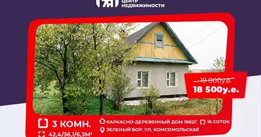 House in Zialiony Bor, Belarus