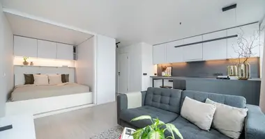 Appartement 1 chambre dans Vilnius, Lituanie