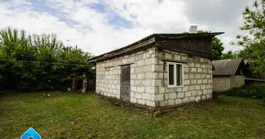 Maison dans Halchanskiy selskiy Sovet, Biélorussie