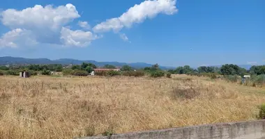 Plot of land in Ierissos, Greece
