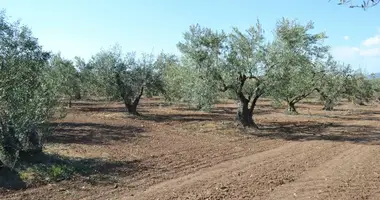 Grundstück in Siedlung "Agioi Anargyroi", Griechenland