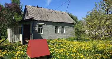 Dom w Piarezyrski sielski Saviet, Białoruś