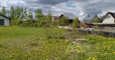 Plot of land in poselenie Pervomayskoe, Russia
