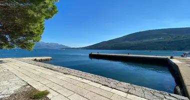 Commercial property 450 m² in Đenovići, Montenegro