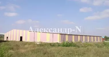 Склад 14 400 м² в Одесса, Украина