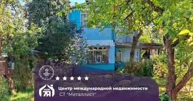 Haus in Aliachnovicki sielski Saviet, Belarus