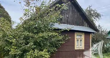 Dom w Sciapankauski siel ski Saviet, Białoruś