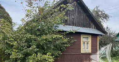 Haus in Sciapankauski siel ski Saviet, Weißrussland