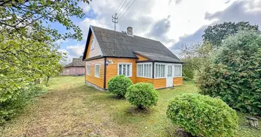 House in Pamieris, Lithuania