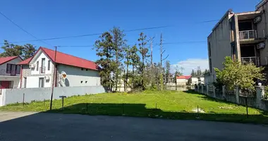 Участок земли в Уреки, Грузия