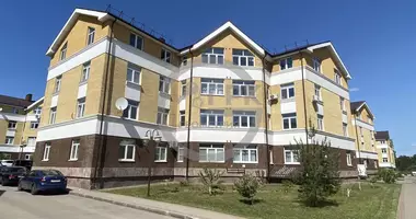 3 room apartment in Balashikha, Russia