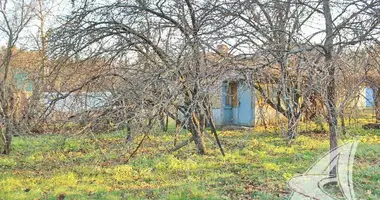 House in Muchaviecki sielski Saviet, Belarus