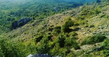 Участок земли в Цетинье, Черногория