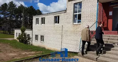 Commercial property 503 m² in Orsha, Belarus