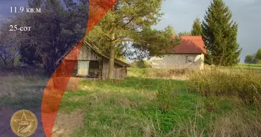Maison dans Lasanski selski Savet, Bélarus