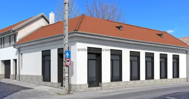 Nieruchomości inwestycyjne 109 m² w Budapeszt, Węgry