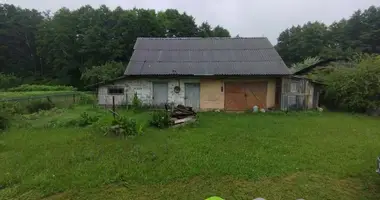 House in Novadzieviatkavicy, Belarus