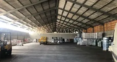 Warehouse 20 600 m² in Polis, Cyprus