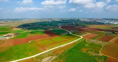 Plot of land in Avgorou, Cyprus