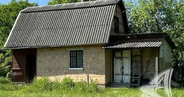 House in Matykalski sielski Saviet, Belarus