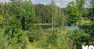Plot of land in Ligatnes pagasts, Latvia