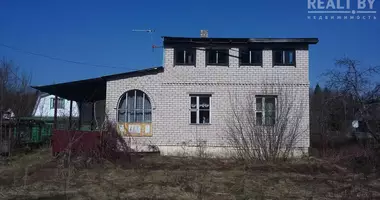 Dom w Losnicki sielski Saviet, Białoruś