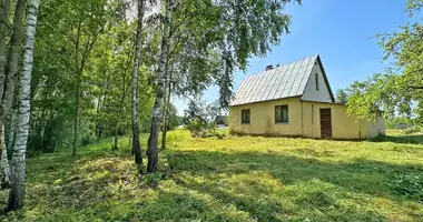 House in Uzuezere, Lithuania