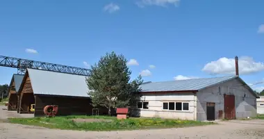 Nieruchomości komercyjne 1 753 m² w Mostejki, Litwa