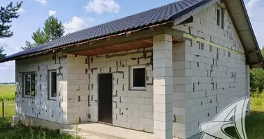 House in cerninski sielski Saviet, Belarus