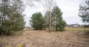 Plot of land in Nieharelski sielski Saviet, Belarus