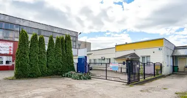 Commercial property 399 m² in Panevėžys, Lithuania